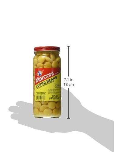 Marconi Lupini Beans, 16 Ounce