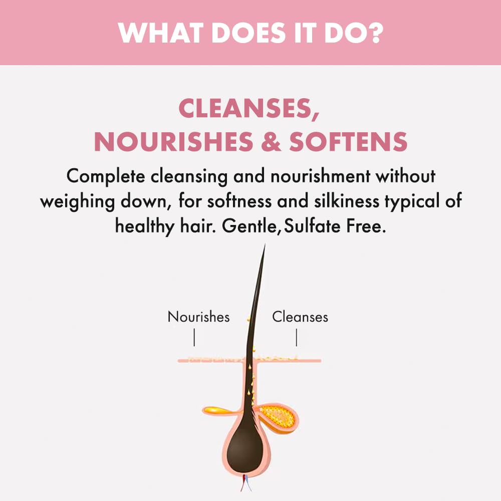 Alfaparf Milano Semi Di Lino Moisture Nutritive Sulfate Free Shampoo for Dry Hair - Paraben and Paraffin Free - Safe on Color Treated Hair - Professional Salon Quality