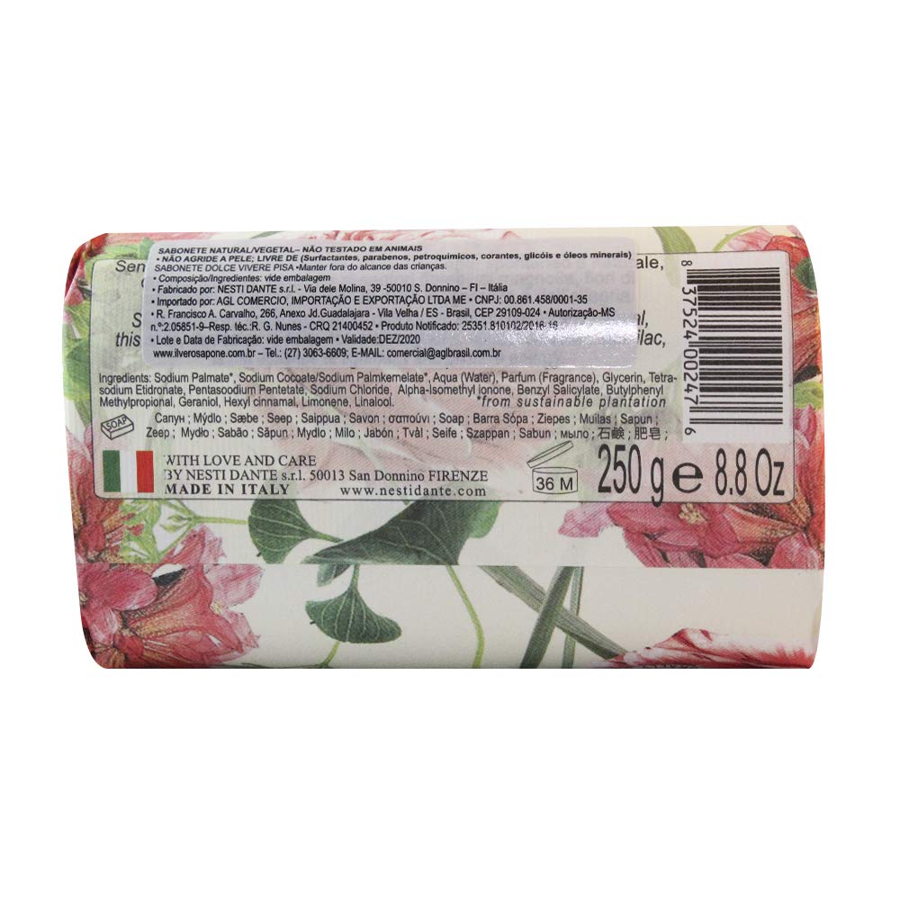 Nesti Dante Dolce Vivere Fine Natural Soap, Pisa, 8.8 Ounce