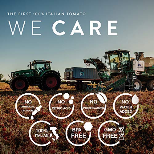 Pomì Tomato Paste Tube Double Concentrated