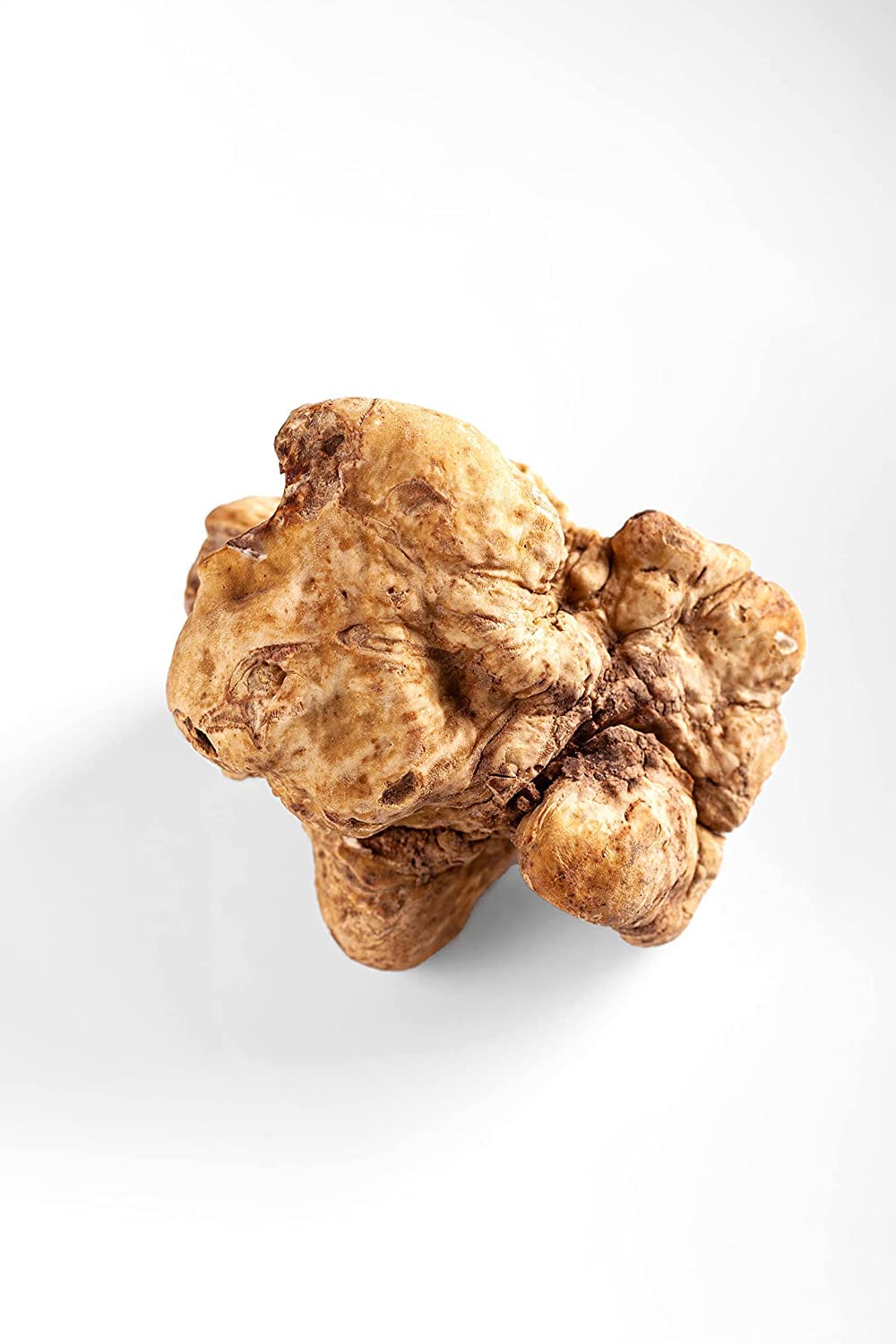 La Rustichella - White Truffle Olive Oil Large - (500ml, 16.90 fl oz) - Vegan, Gluten Free, Cholesterol Free