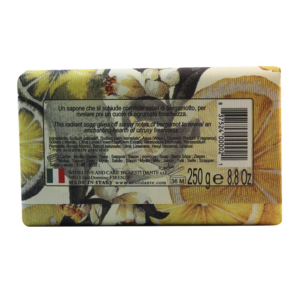 Nesti Dante Nesti dante il frutteto Energizing soap - Citron and Bergamot, 8.8oz, 8.8 Ounce