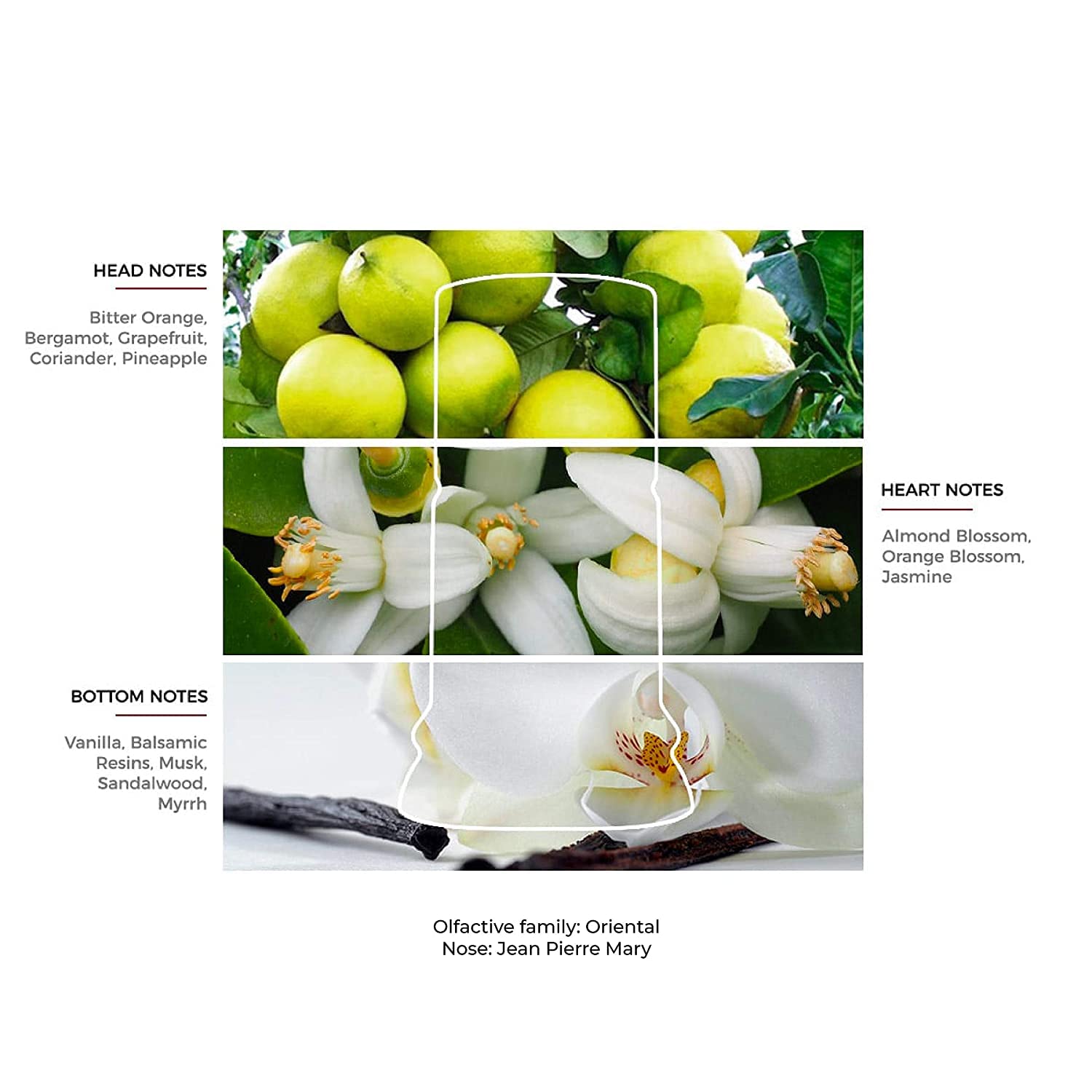 Roma - Eau de Toilette Spray Perfume for Women - Fusion of Sweetness & Passion With Notes of Rose, Jasmine, Bergamot & Mint - 0.8oz