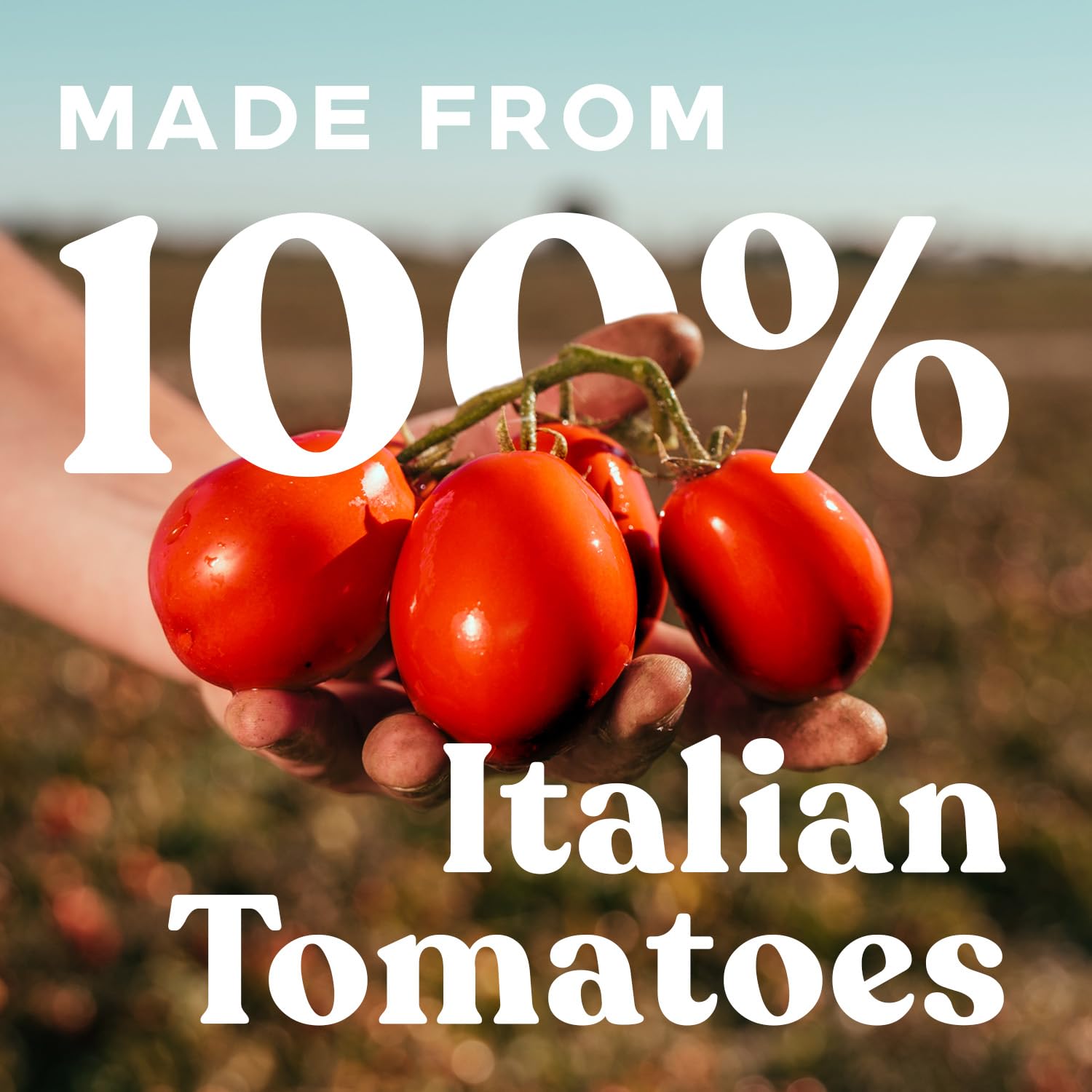 Pomì Strained Tomatoes - Creamy, Velvety Italian Tomato Puree with a Touch of Salt, No Additives or Preservatives - Pureed Tomatoes Made from 100% Fresh Italian Tomatoes - 13.8oz