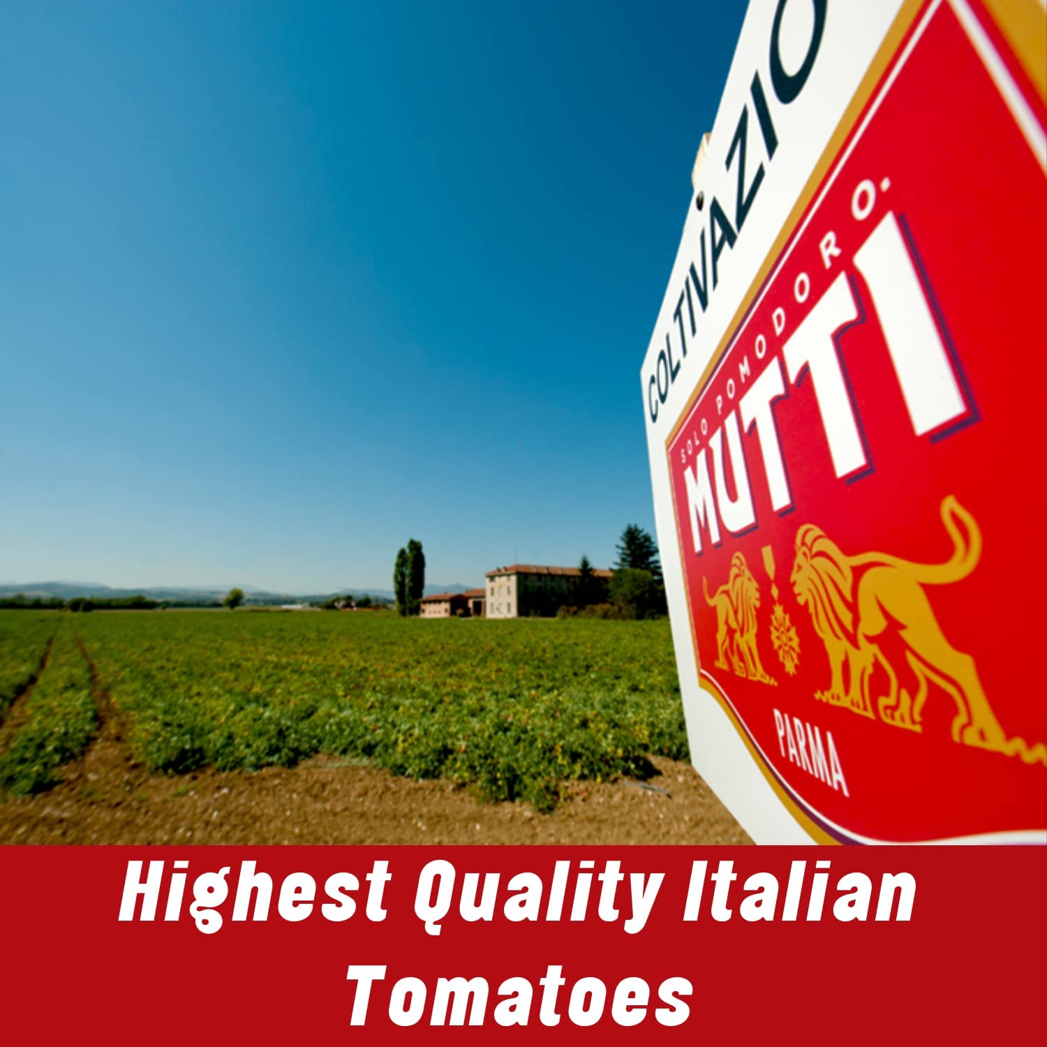 Mutti Tomato Puree (Passata), 24.5 oz. | 12 Pack | Italy’s #1 Brand of Tomatoes | Fresh Taste for Cooking | Canned Tomatoes | Vegan Friendly & Gluten Free | No Additives or Preservatives