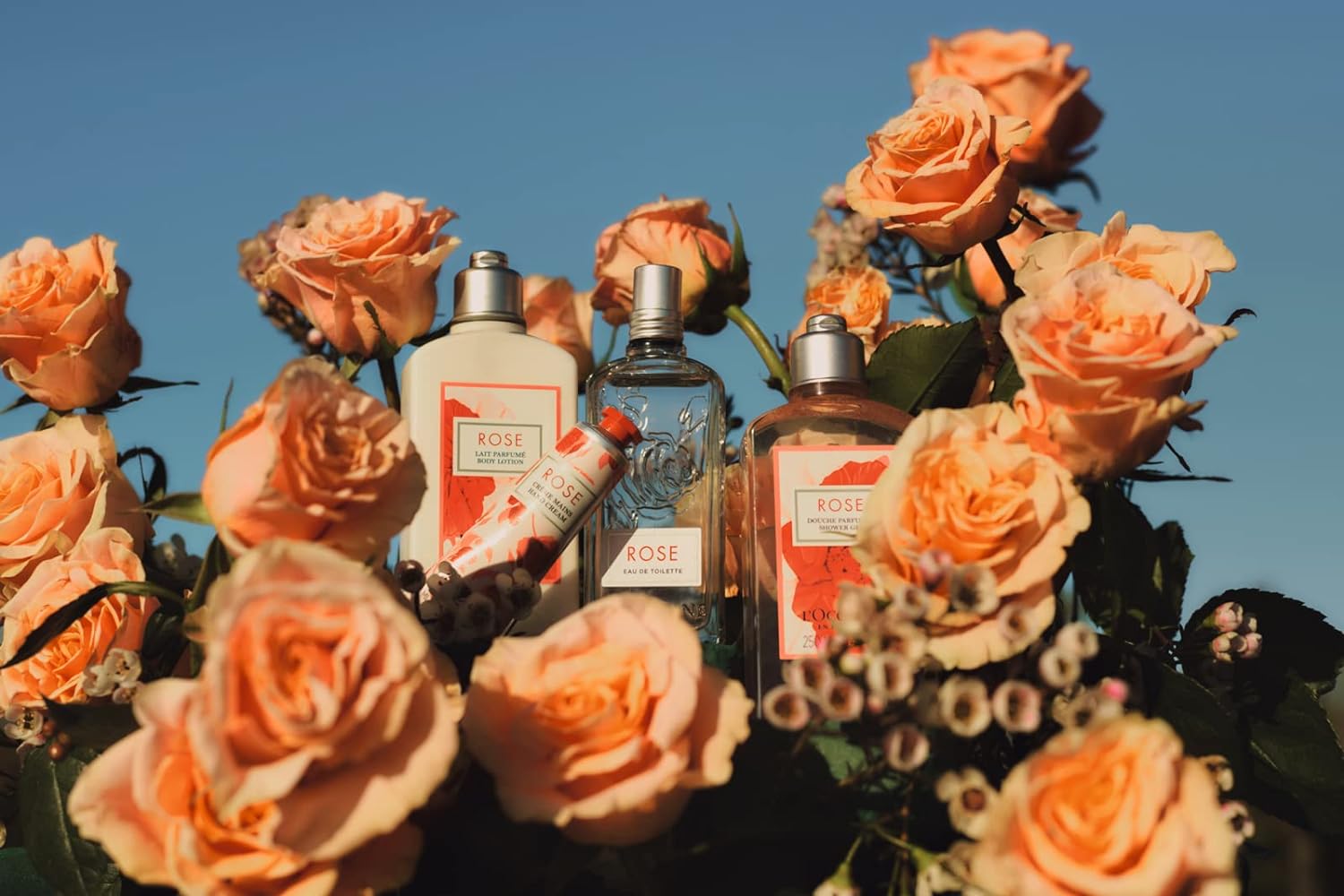 L'Occitane Eau de Toilette: Cherry Blossom, Rose, Neroli & Orchidee, Citrus Verbena, Verbena, Fragrance