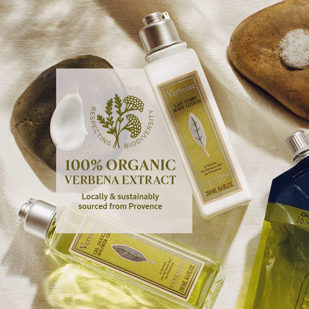 L'OCCITANE Body Lotion: Moisturizing With Shea Butter, Softening, Visibly Firmer-Looking Skin, Made in France, Almond Milk Veil, Cherry Blossom, Lavender, Rose and Verbena