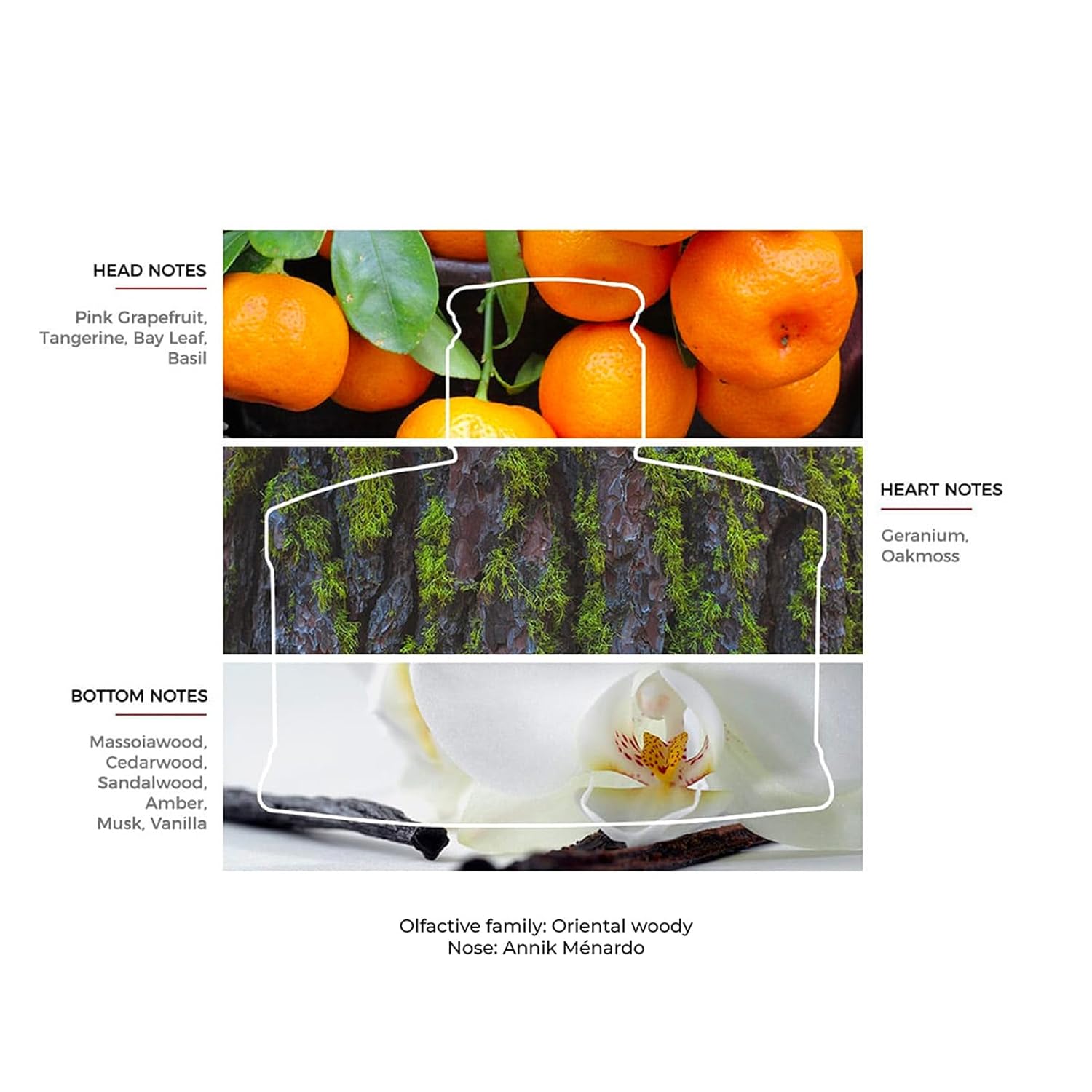 Roma for Men Classic and Elegant Scent - Opens with Grapefruit, Bergamot and Basil - Reveals Your Seductive and Masculine Side - Perfect for Date Night - 1.3 oz EDT Spray