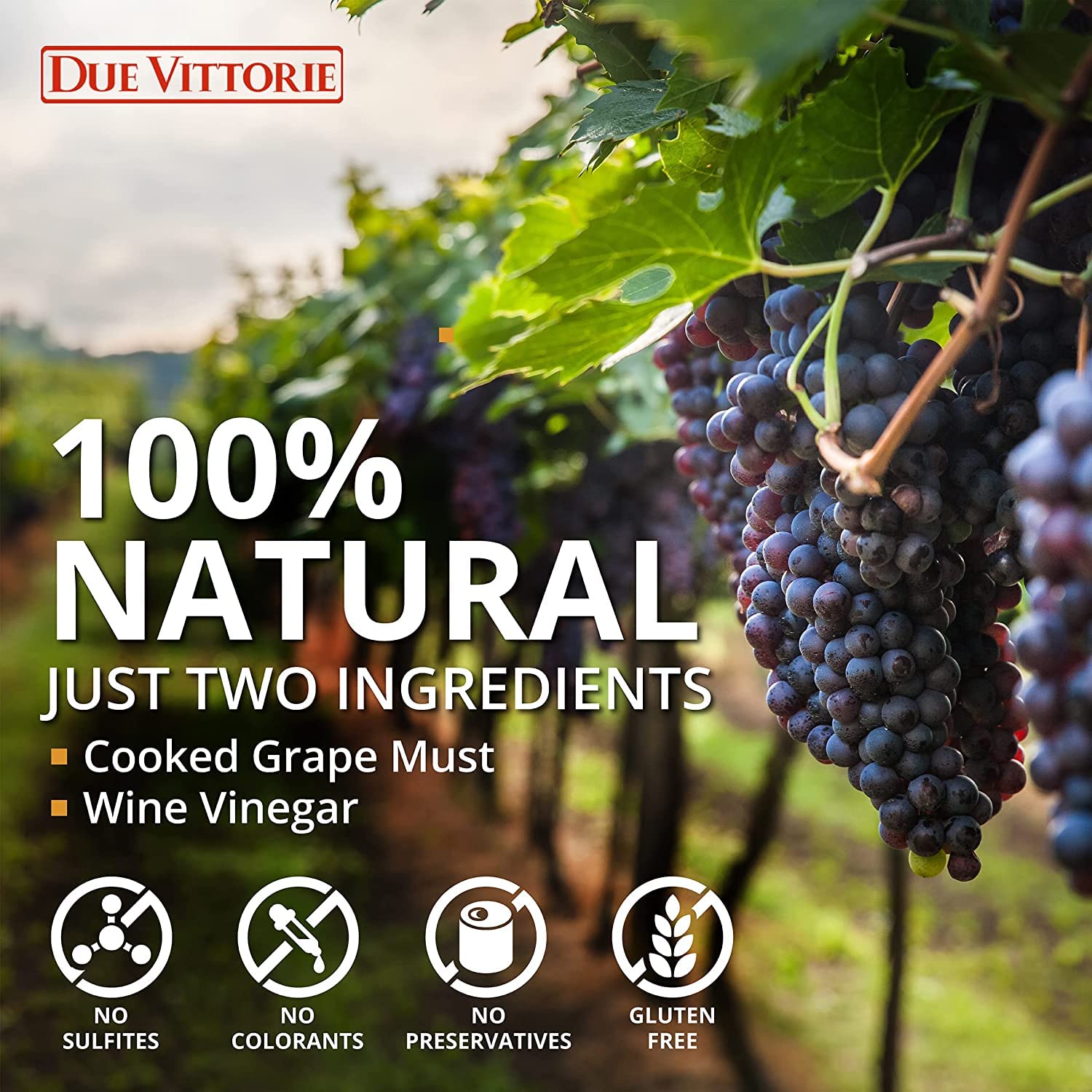 Due Vittorie Oro Gold Balsamic Vinegar Imported from Italy without Pourer, 8.45fl oz / 250ml