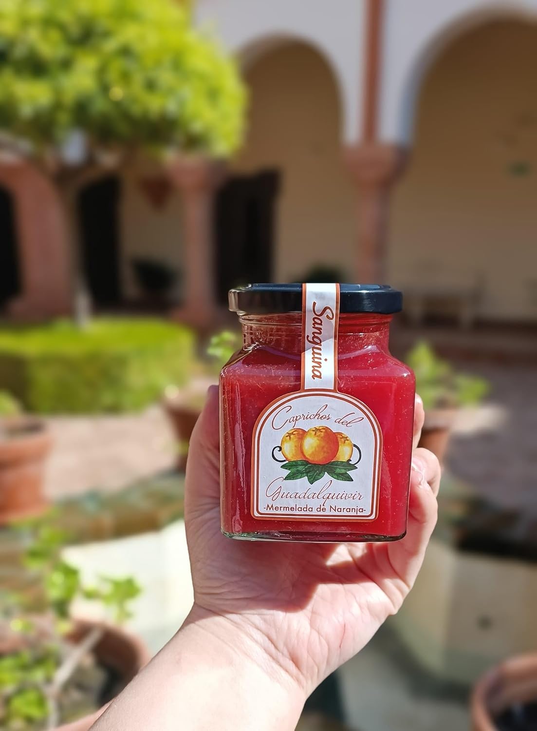 Caprichos del Guadalquivir, Set of 1 Jars, Cadenera Blood Orange Marmalade, 11 Oz, Imported from Spain