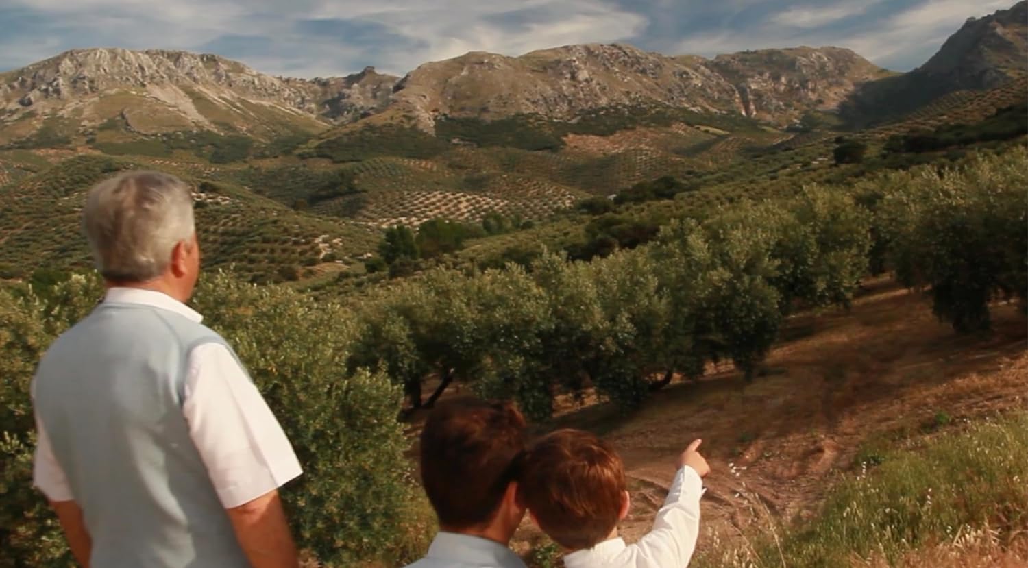 Venta Del Baron Spanish Extra Virgin Olive Oil - 0.5 Liter / 16.0 Ounce