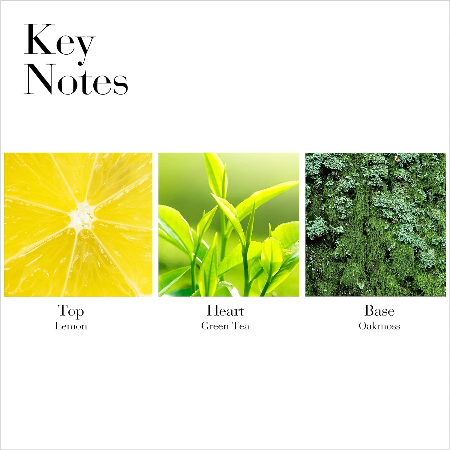 Elizabeth Arden (elk2i) Green Tea Scent Eau De Parfumee Spray 3oz/ 100 Ml for Women By Elizabeth Arden, 3fl Oz