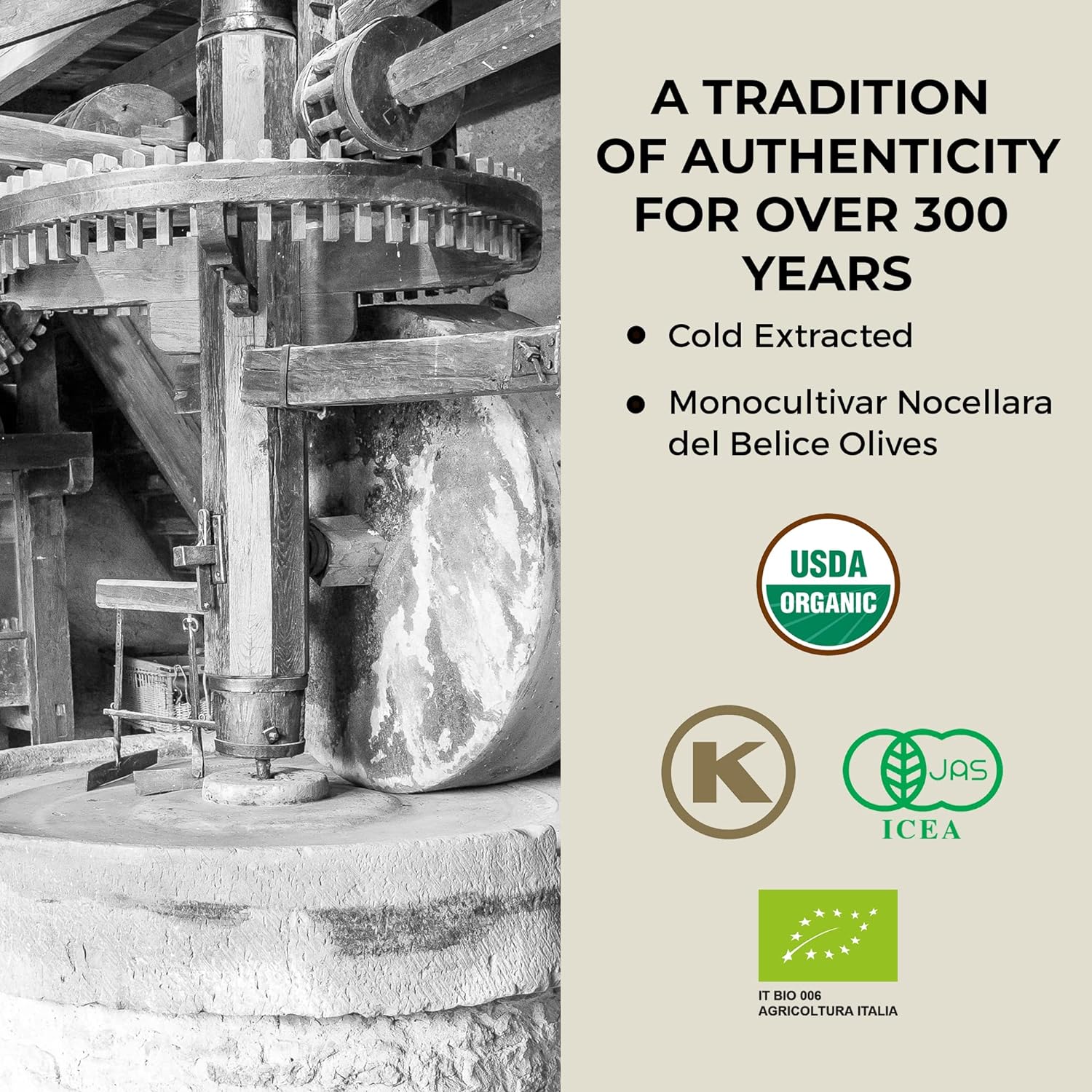 Barbera Lorenzo #5 Extra Virgin Olive Oil Fruity, Soft Nocellara del Belice Olive Flavor, Cold Extracted Authentic Sicilian Olive Oil, Fresh Harvest Imported Olive Oil From Italy 16.9 oz - Pack of 1