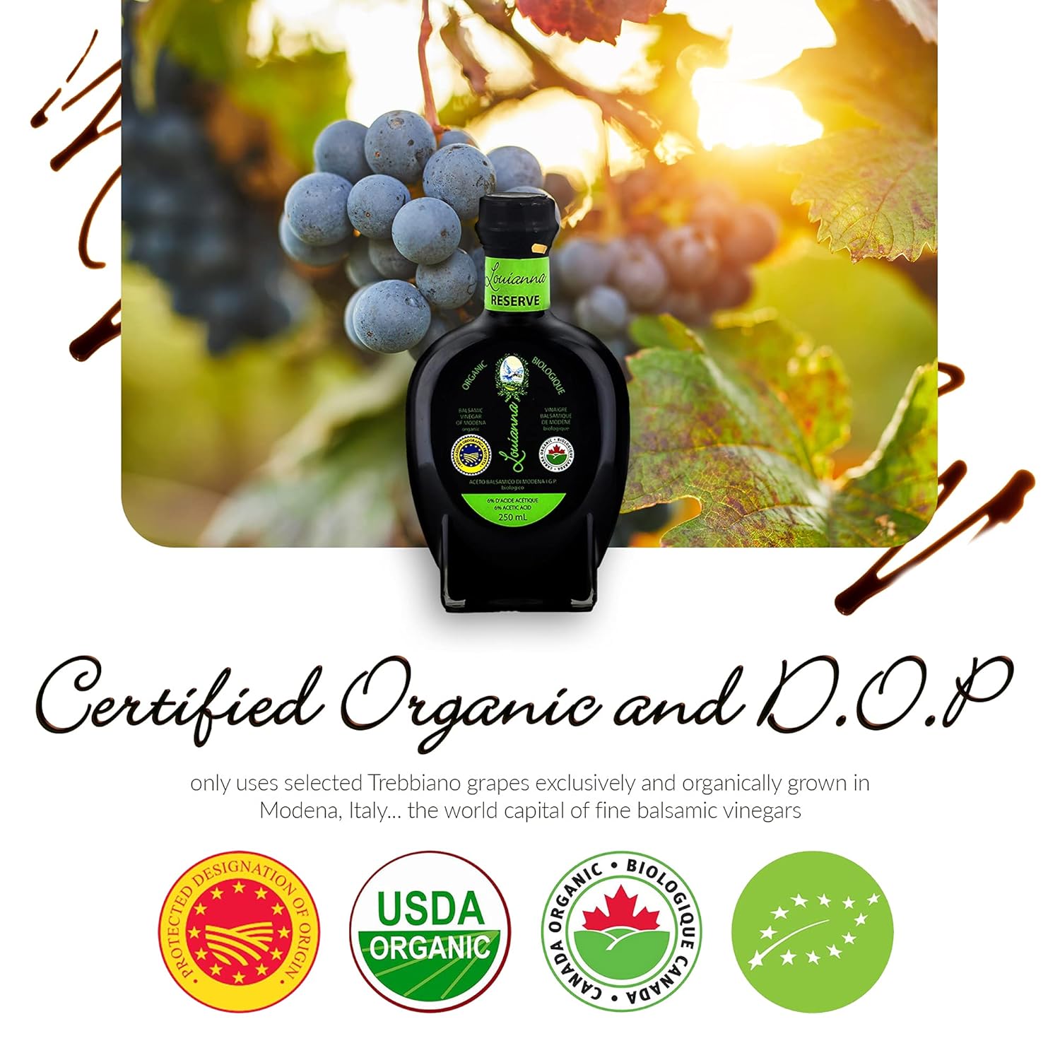 Louianna - Organic Balsamic Vinegar of Modena, High Polyphenol Aged Balsamic Vinegar, Aromatic Vinegar Made of Trebbiano Grapes, With Igp Recognition, 250 mL