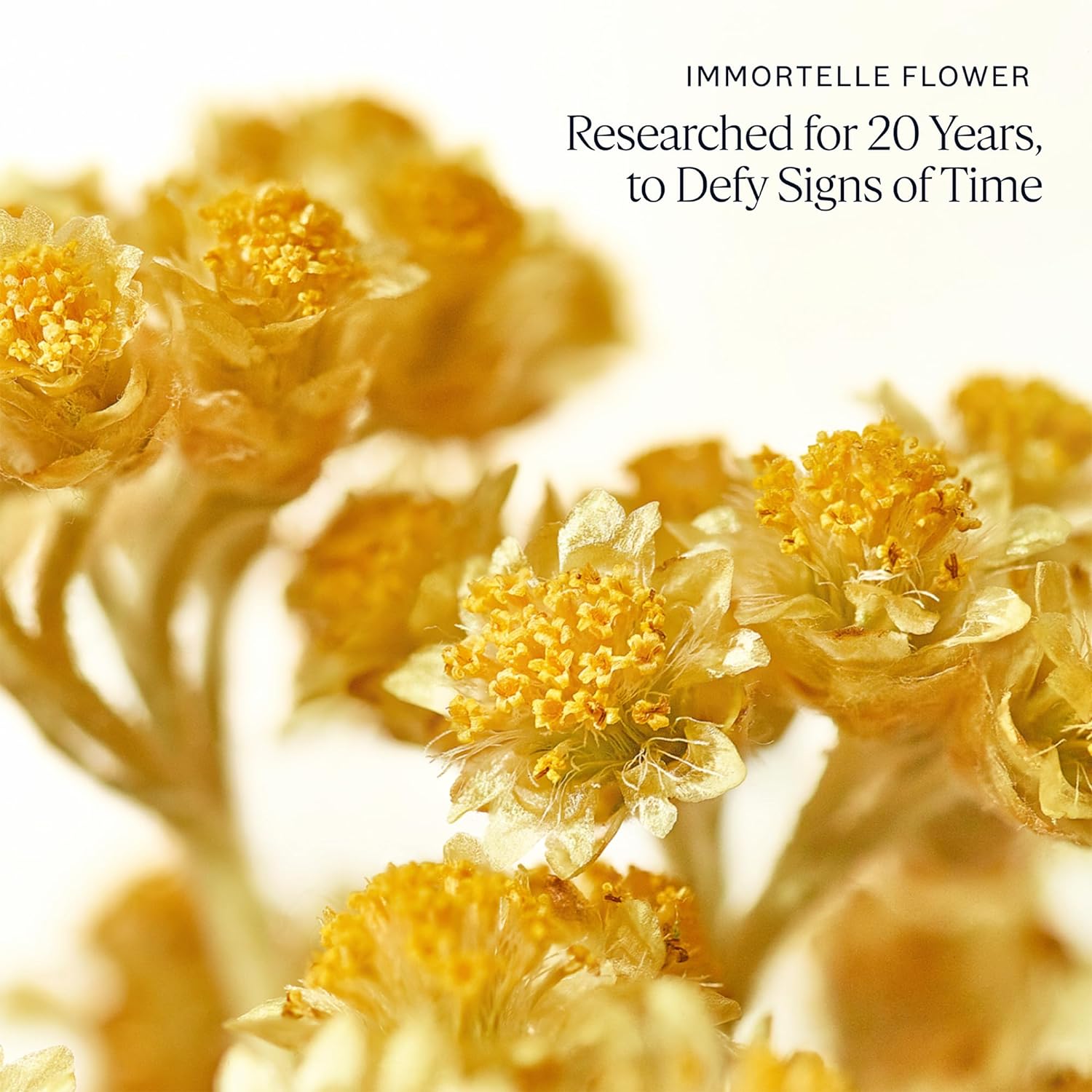 L’OCCITANE Immortelle Divine Firming Face Cream: Our # 1 Cream, Improve Wrinkles, Retinol Alternative, Smooth Skin, Target Age Spots, Daily Moisturizer for a Youthful Radiance, 1.7 Oz