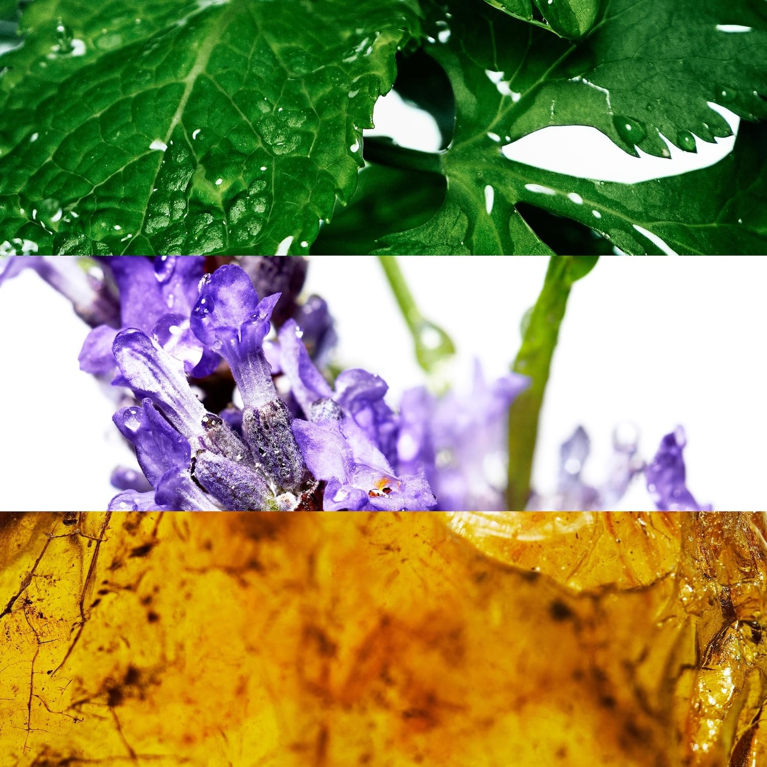 Davidoff Coolwater Body Spray for Men, 5 Fl Oz (Pack of 1)