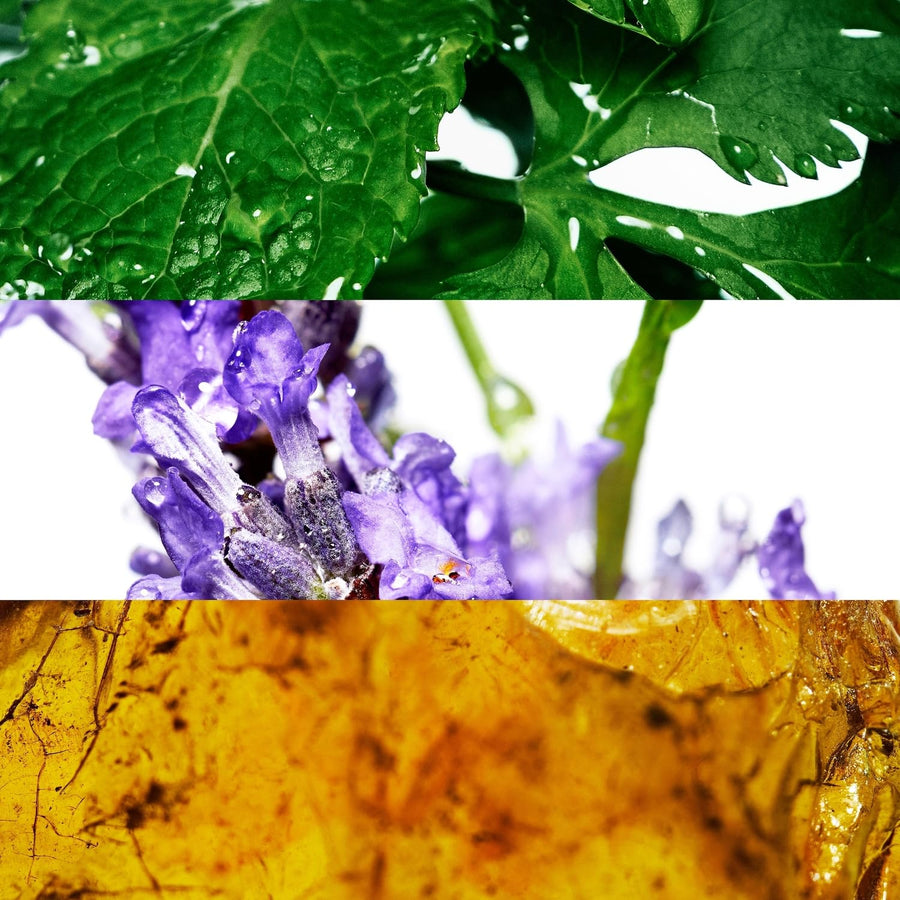 Davidoff Coolwater Body Spray for Men, 5 Fl Oz (Pack of 1)