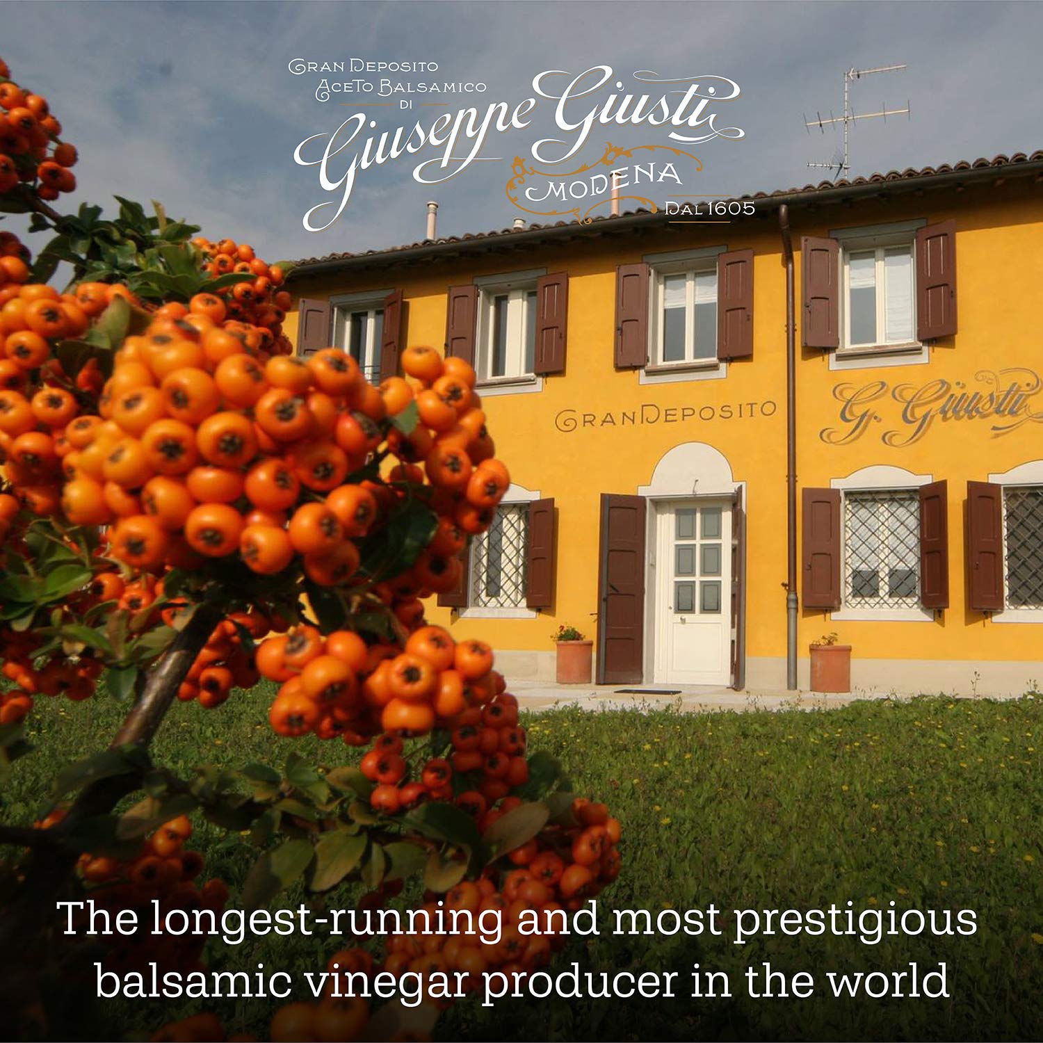 Giuseppe Giusti Raspberry Balsamic Vinegar - Flavored Balsamic Vinegar Imported from Italy - 3.38 Fl Oz