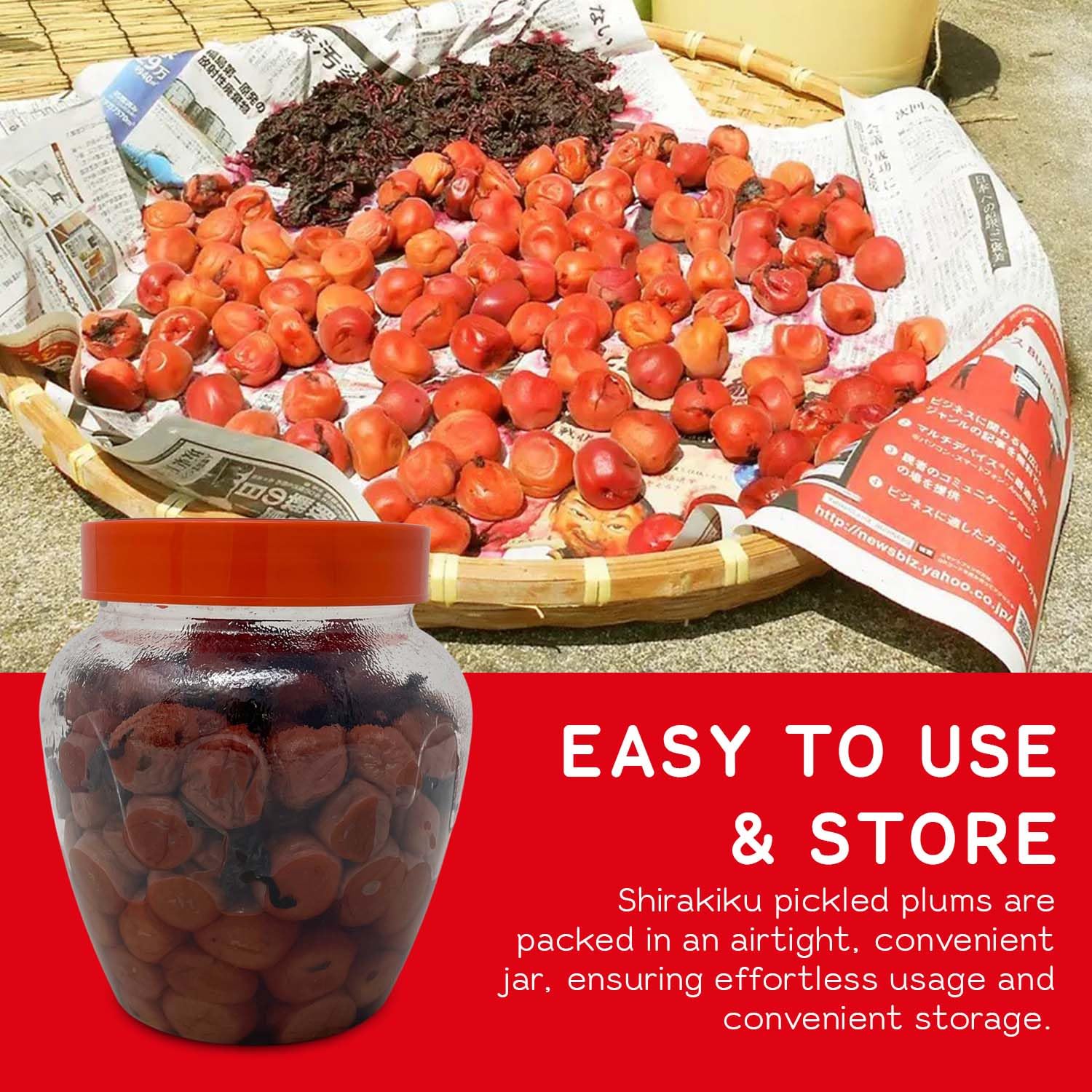 Shirakiku Salted Plums Shiso Ume PET | Japanese Umeboshi Plums for Vinaigrettes, Noodles, Sandwiches, & Rice Balls | High Fructose Syrup, Seasoned Perilla | Pack in 2.2lbs Jar