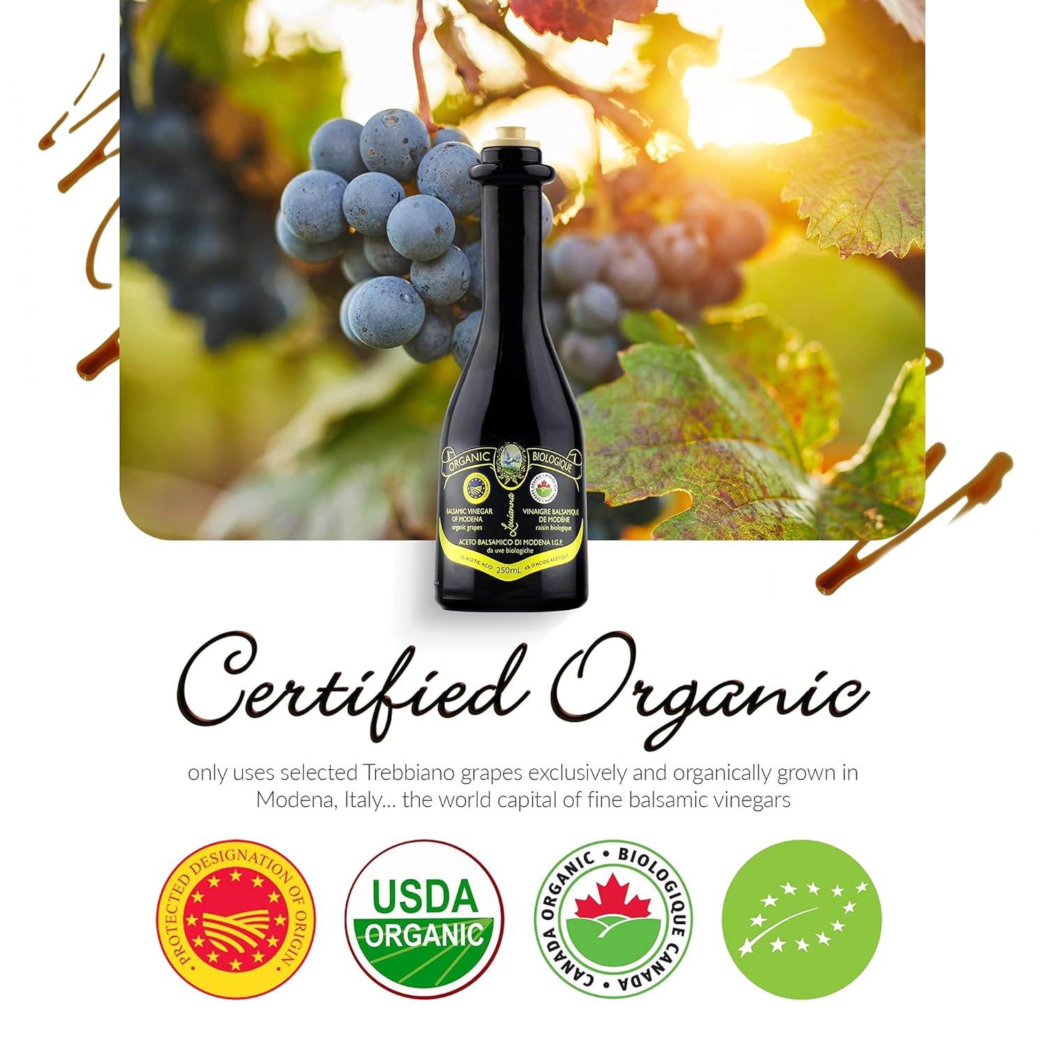 Louianna - Organic Balsamic Vinegar of Modena, High Polyphenol Balsamic Vinegar Dressing, Aged Red Wine Vinegar Made of Trebbiano Grapes, 250 mL