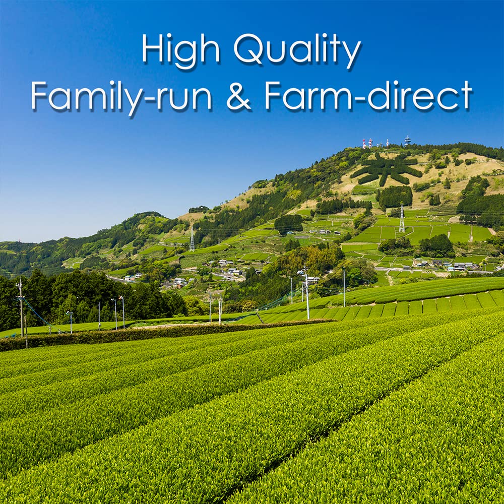 [Sugimoto Tea] Hojicha, Roasted Green Tea Stems, Authentic Japanese Origin, Low-Caffeine Loose Leaf, Bulk Size from Shizuoka, Japan, Relaxing Evening Tea, Antioxidants, 8 oz Bag (227g)