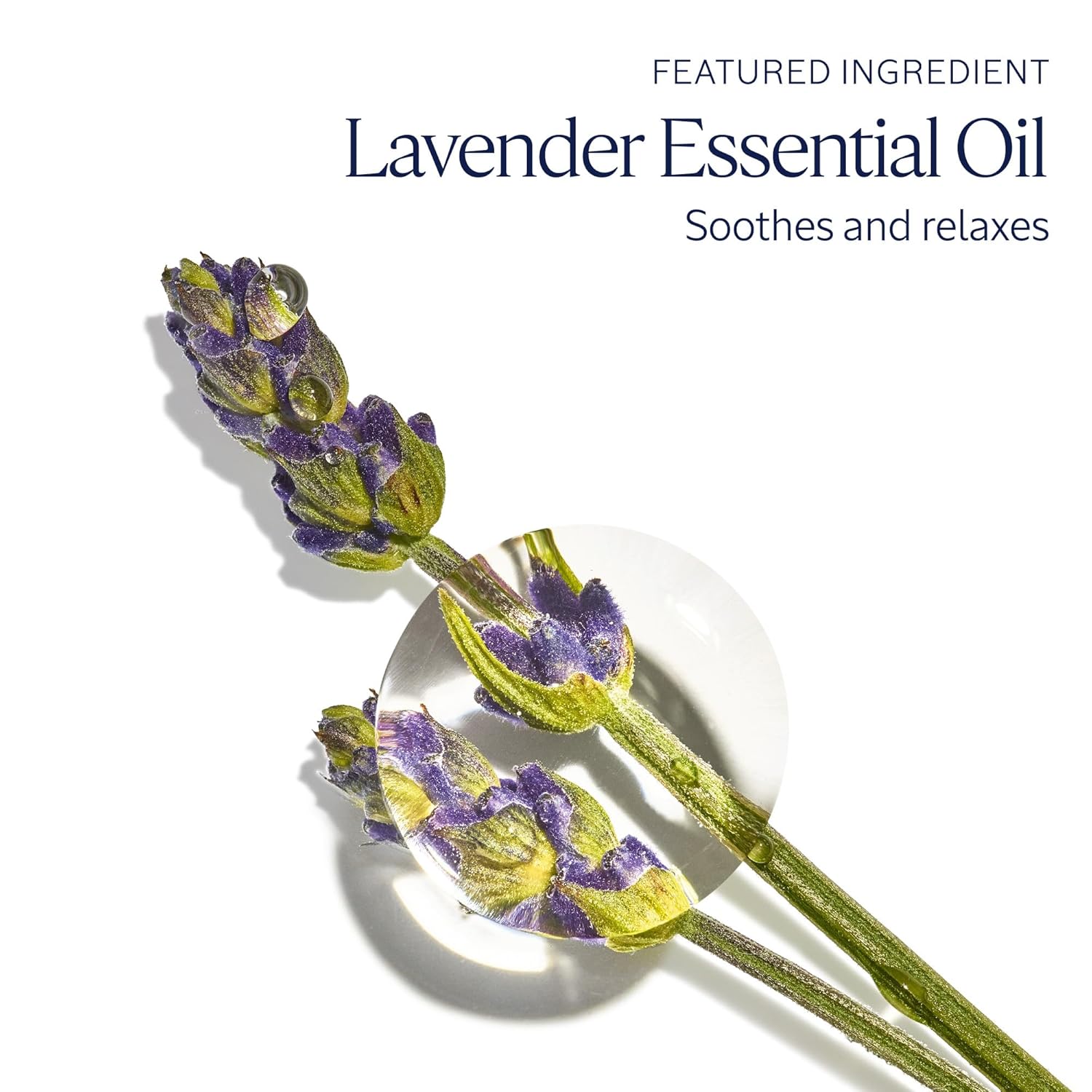 L'Occitane Hand Cream: Nourishes Very Dry Hands, Protects Skin, With Shea Butter, Vegan, Lavender, Cherry Blossom, Rose, Neroli Orchidee, Verbena, Peony