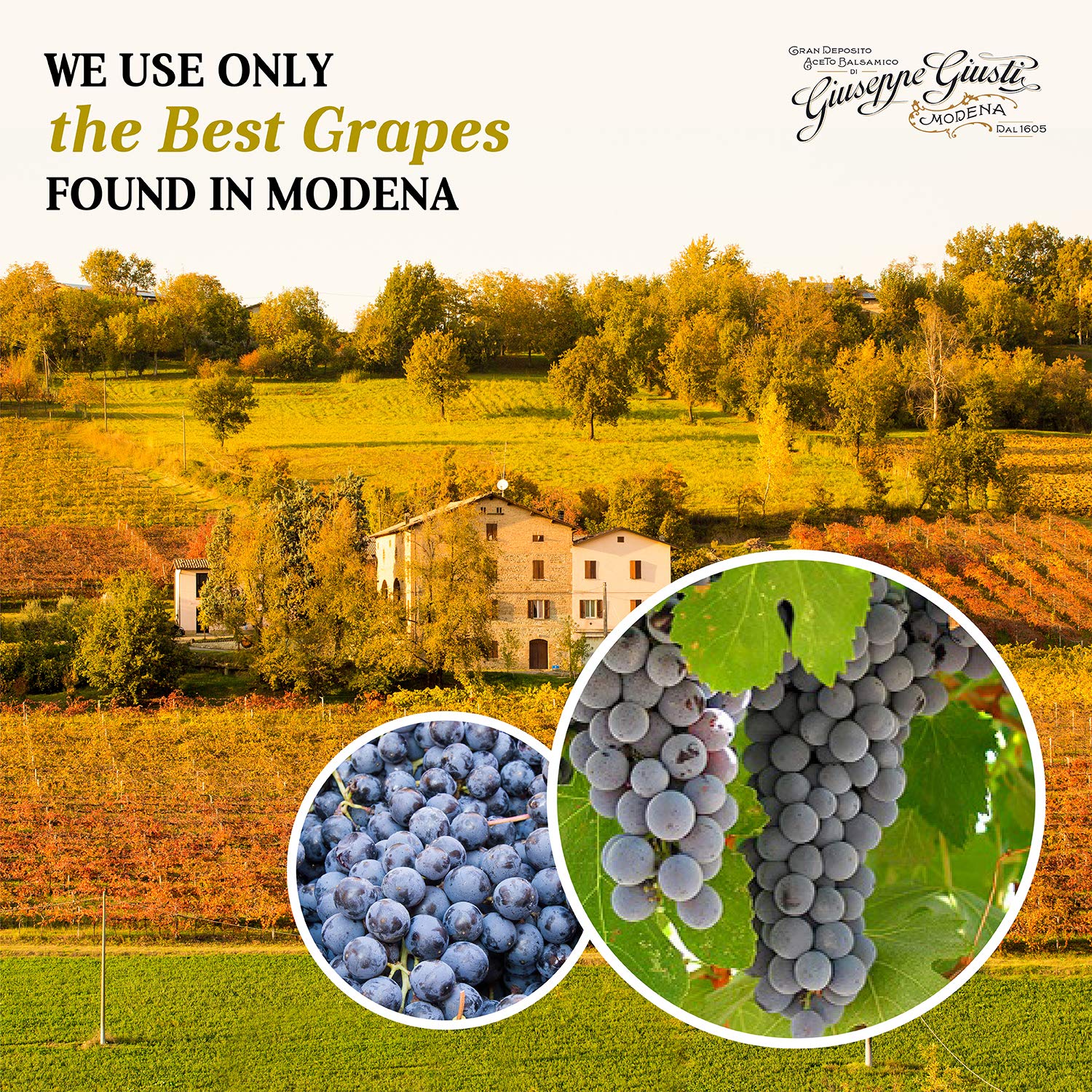 Giusti Giuseppe Modena Balsamic Vinegar, 5 Gold Medals "Banda Rossa" Champagnottina from Modena, Italy, 3.38 fl oz (100ml)