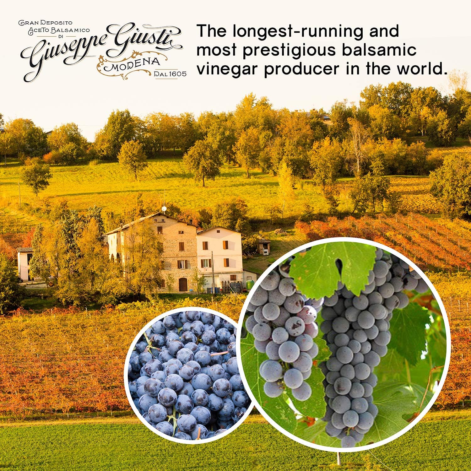 Giuseppe Giusti Aged Balsamic Vinegar of Modena - 1 Silver Medal Aceto Balsamico di Modena - Cubica - Pack of 1