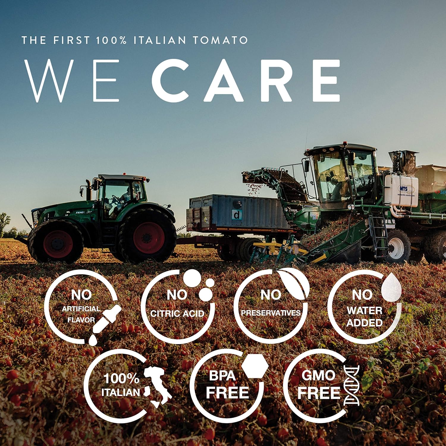 Pomì Finely Chopped Italian Tomatoes - 14.1oz