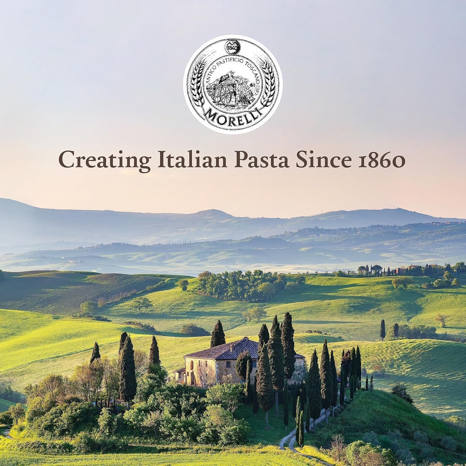 Morelli Organic Pappardelle Pasta Noodles - Imported Pasta from Italy, Wide pappardelle Noodles, Gourmet Italian Durum Wheat Salomina with Wheat Germ - 17.6oz (500g) - Pack of 1