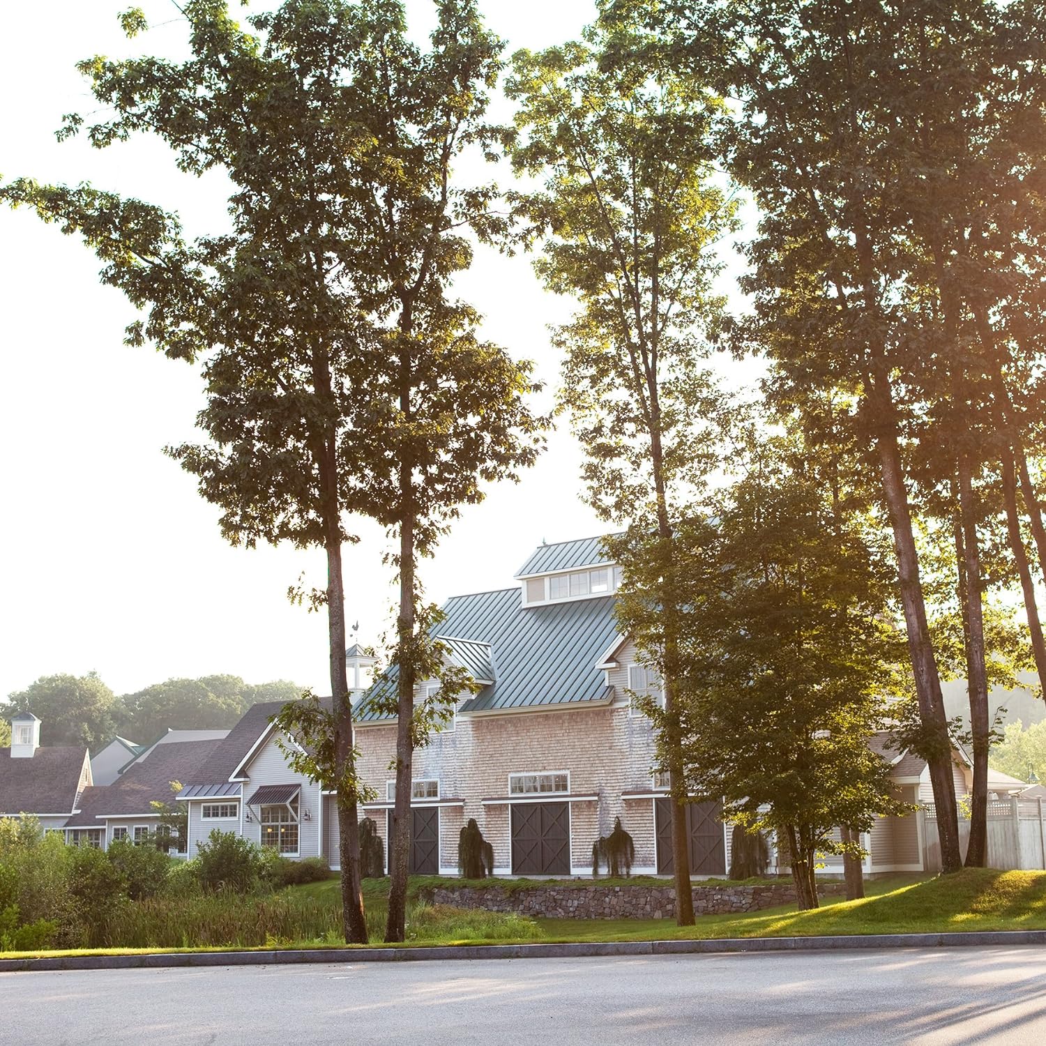 Stonewall Kitchen Apricot Jam, 12.5 Ounces