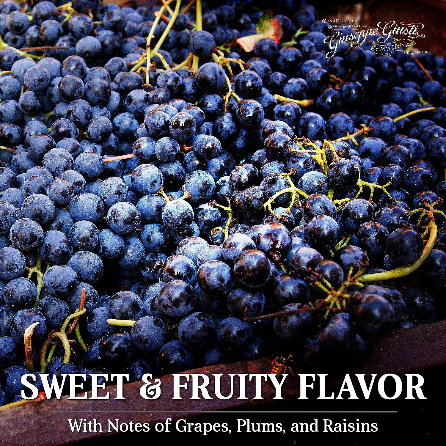 Giuseppe Giusti Saba - Italian Saba Cooked Grape Must Made in Modena, Italy - Gourmet Gift, Sweet and Fruity Flavor, 250ml Bottle