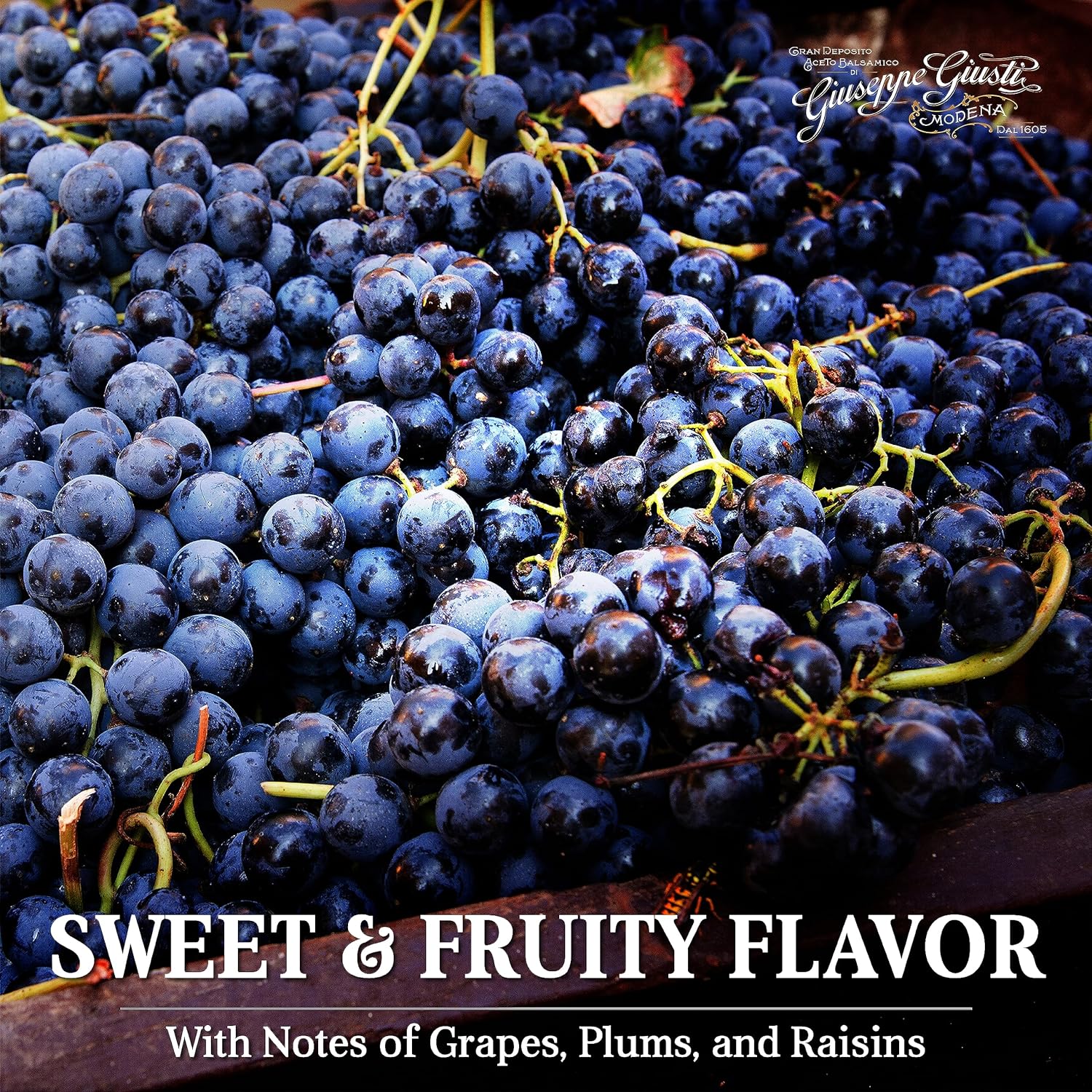 Giuseppe Giusti Saba - Italian Saba Cooked Grape Must Made in Modena, Italy - Gourmet Gift, Sweet and Fruity Flavor, 250ml Bottle