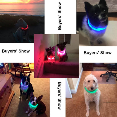 Silicone Cuttable LED Illuminated USB Rechargeable Dog Collar - Red