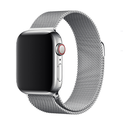 Milano Loop Apple Watch Band - Silver