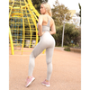Helia Seamless Leggings & Sports Bra Set - Grey