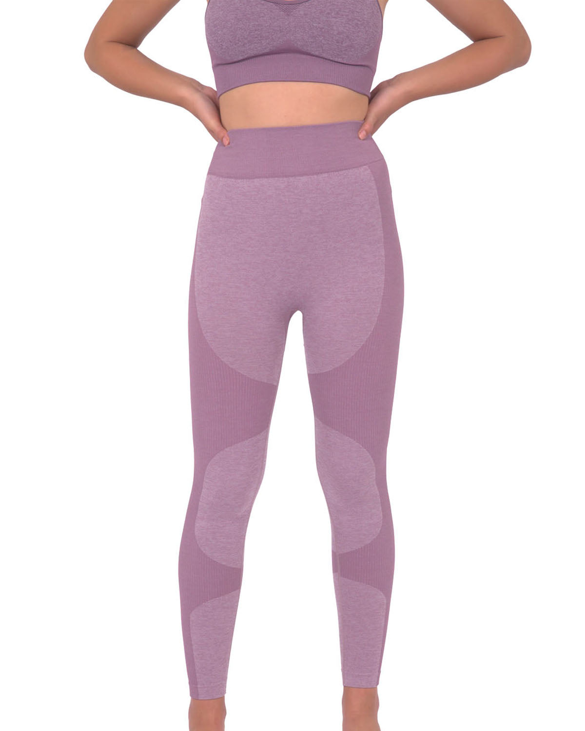 Megara Seamless Legging with Striped Panels - Purple