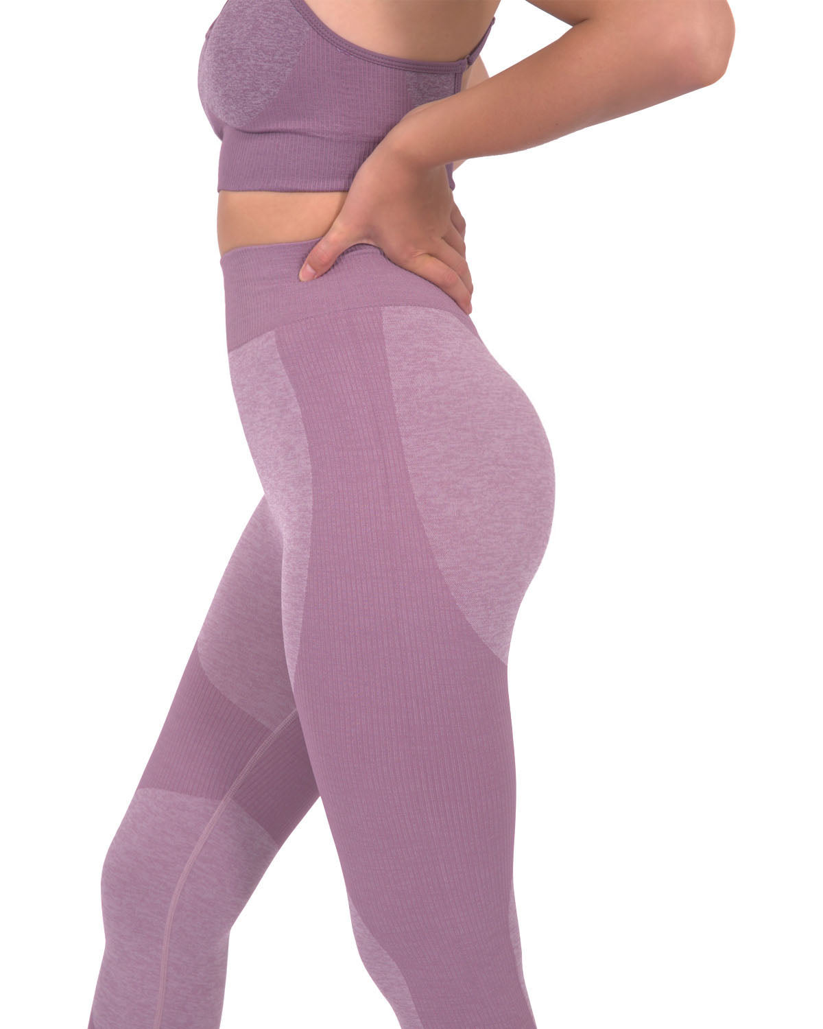Megara Seamless Legging with Striped Panels - Purple