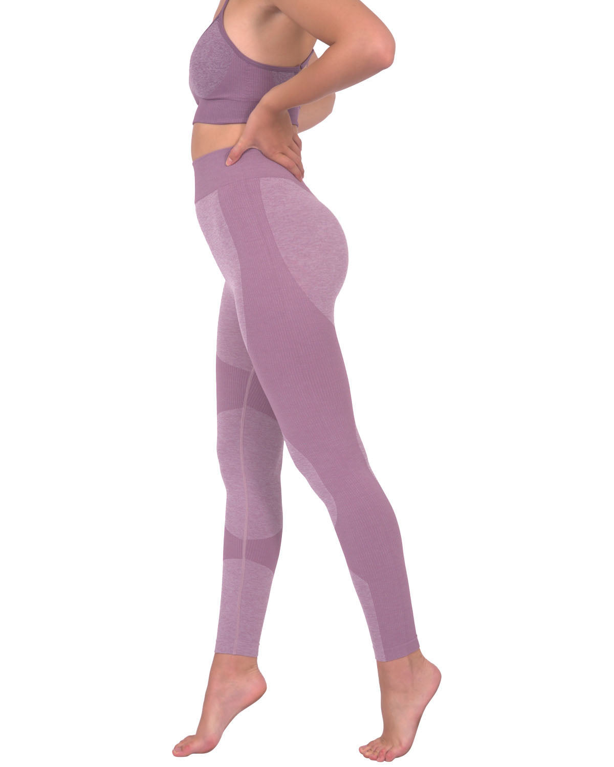 Megara Seamless Legging with Striped Panels - Purple