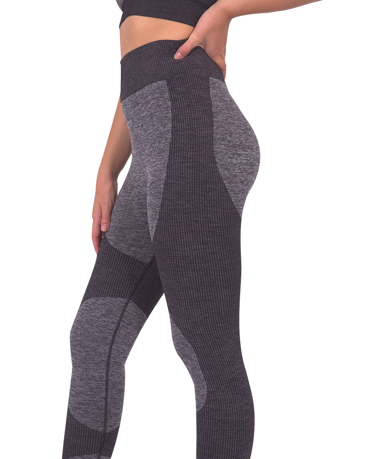 Megara Seamless Legging with Striped Panels - Black